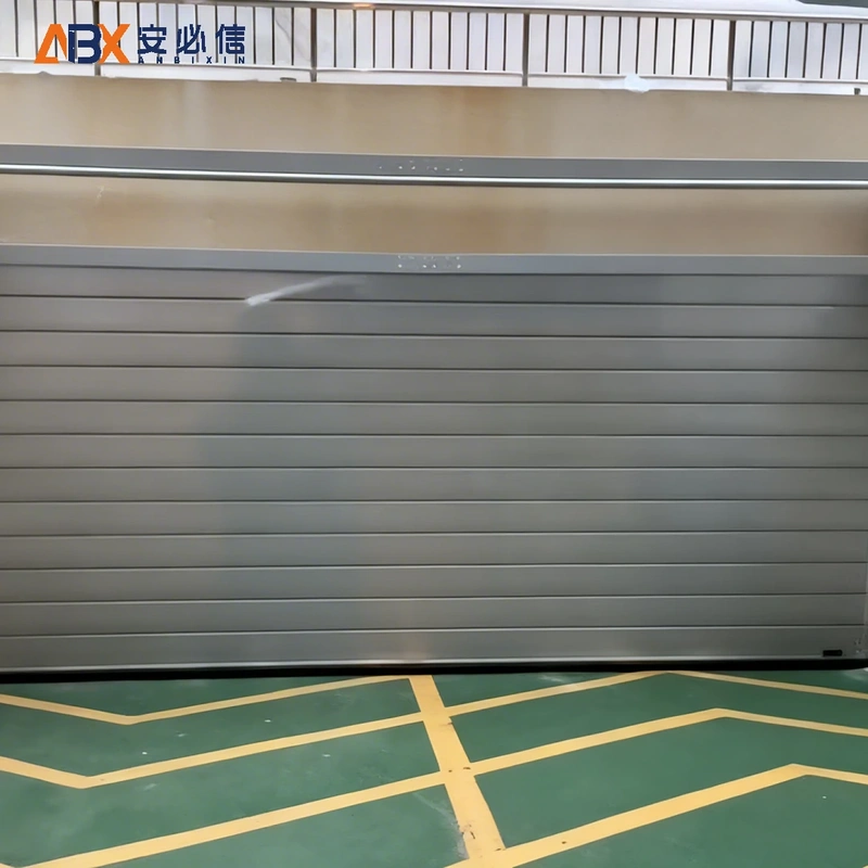 拉萨雷达高速门
